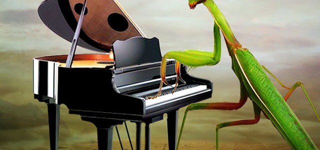 Tips on how to shop for music appliances Tips on how to shop for music appliances